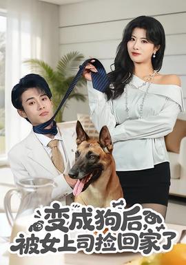高楼之间